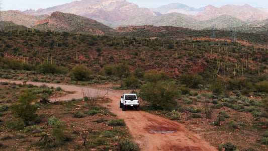 Whitlow Canyon - Queen Valley, AZ