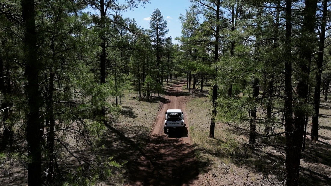 FR 116A - Williams, AZ