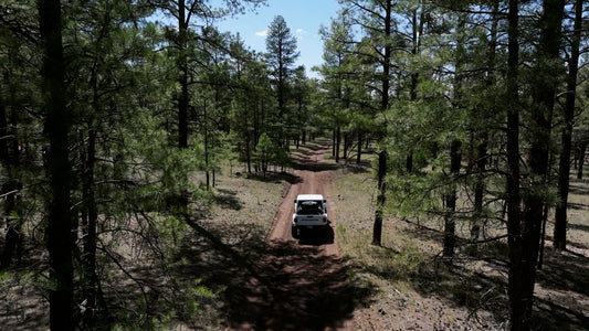 FR 116A - Williams, AZ