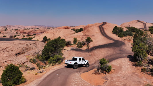 Fins and Things - The First Trail You Should Do In Moab