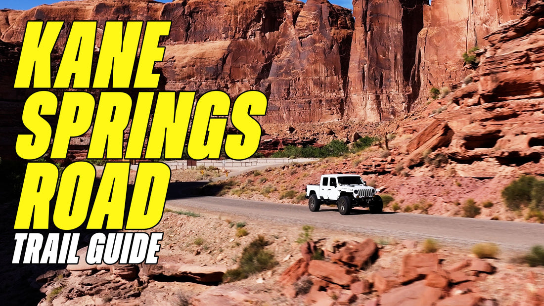 Perfect Trail For The Family or Absolute Beginners | Kane Springs Road